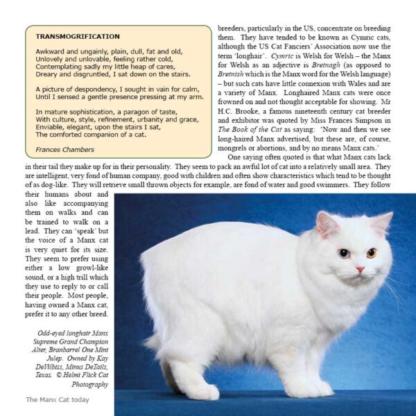 A De tailed account of Manx Cats 1